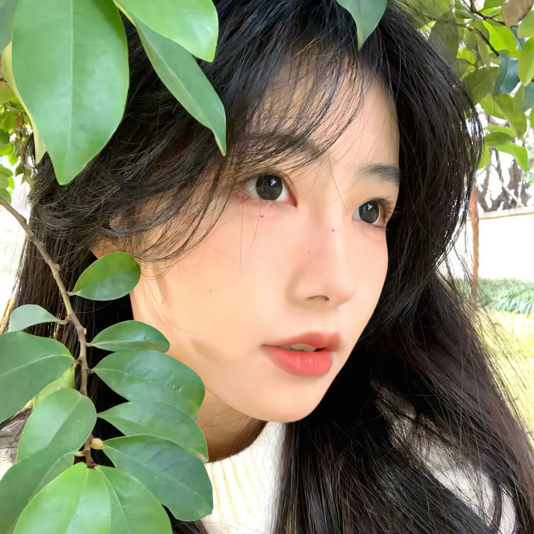 鳄鱼头黑煞星