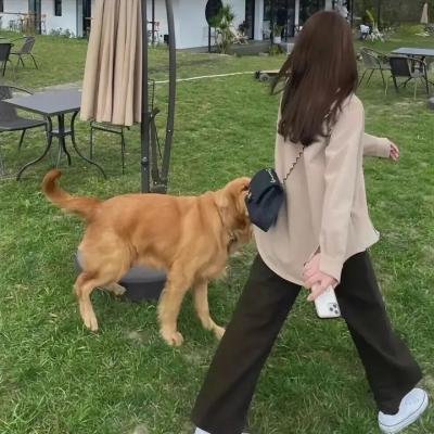 迷宫夺美